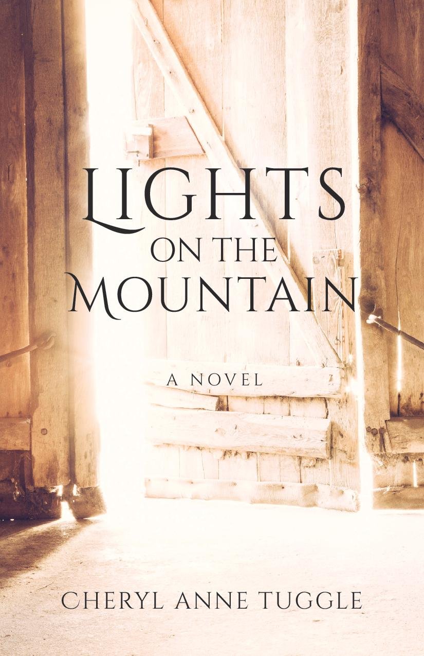 Book cover of Lights on the Mountain